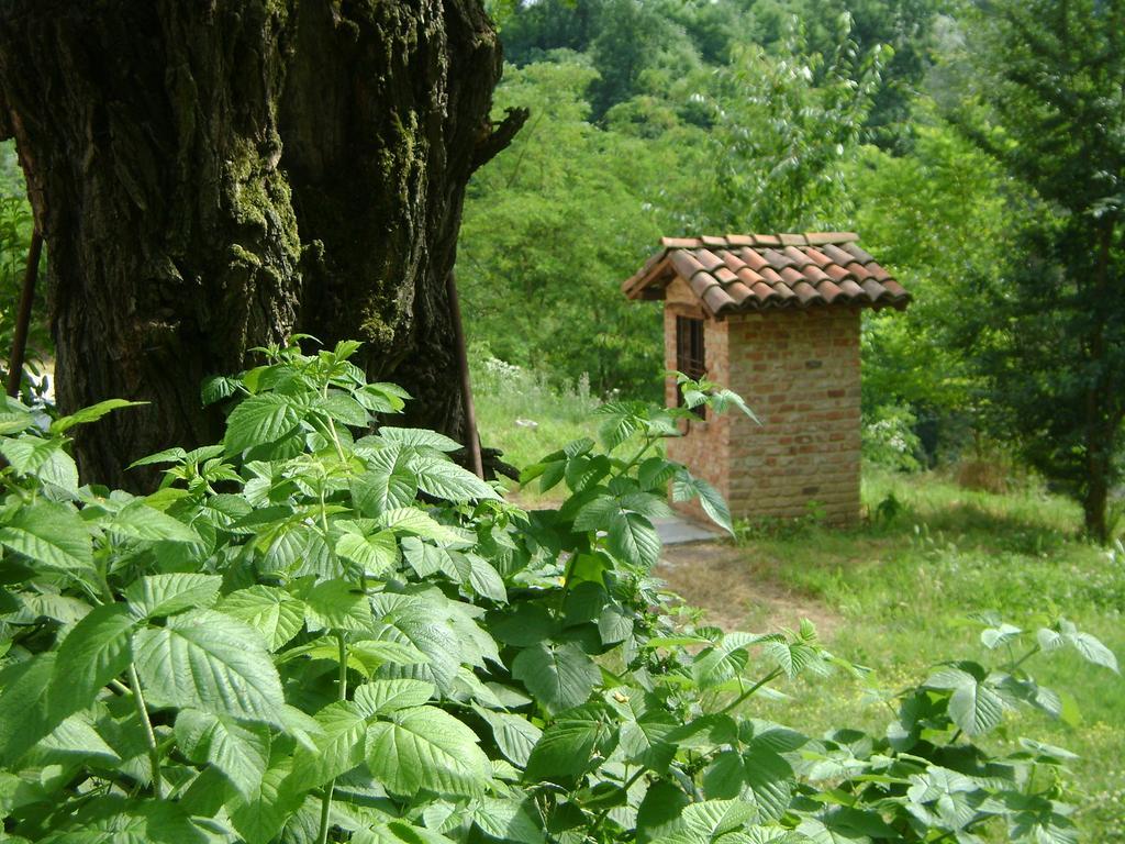 آستي B&B Cascina Rossa المظهر الخارجي الصورة