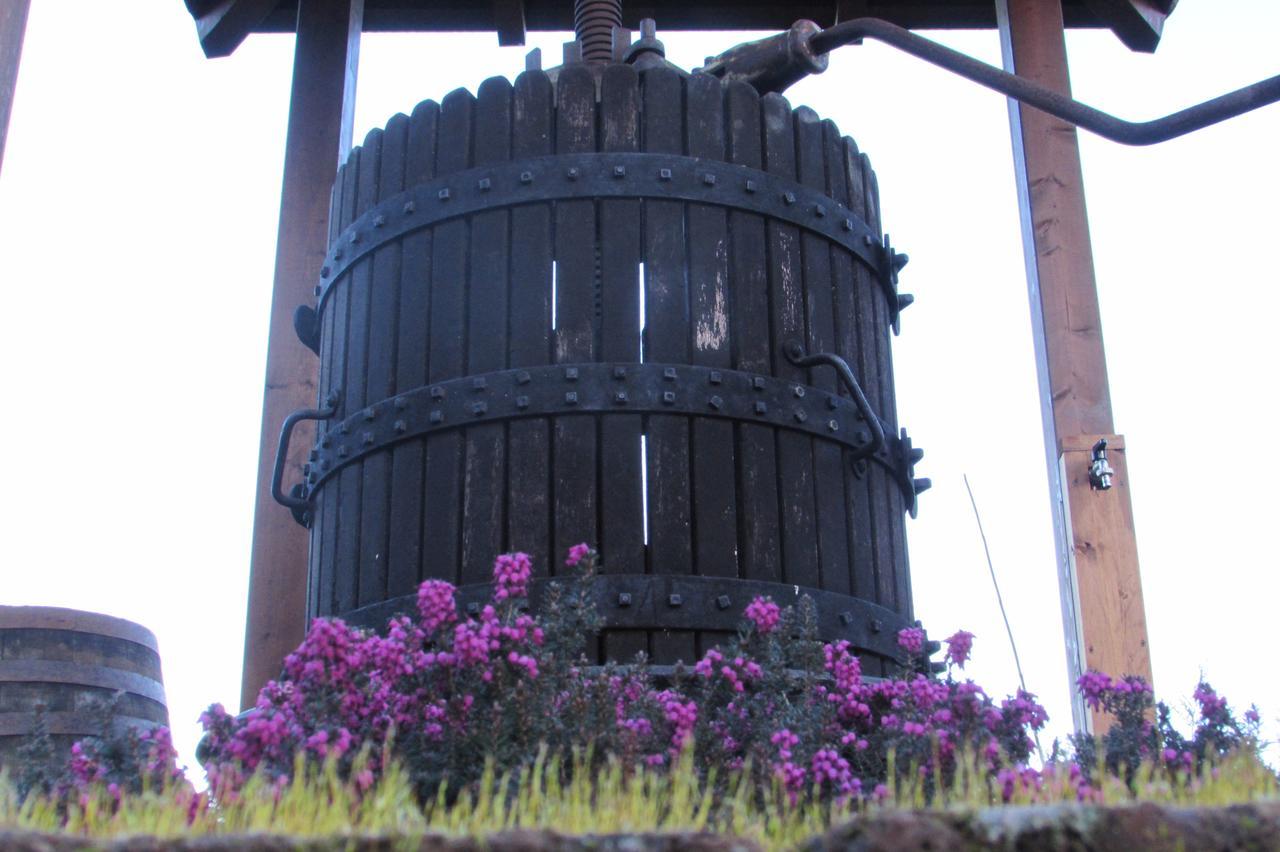 آستي B&B Cascina Rossa المظهر الخارجي الصورة